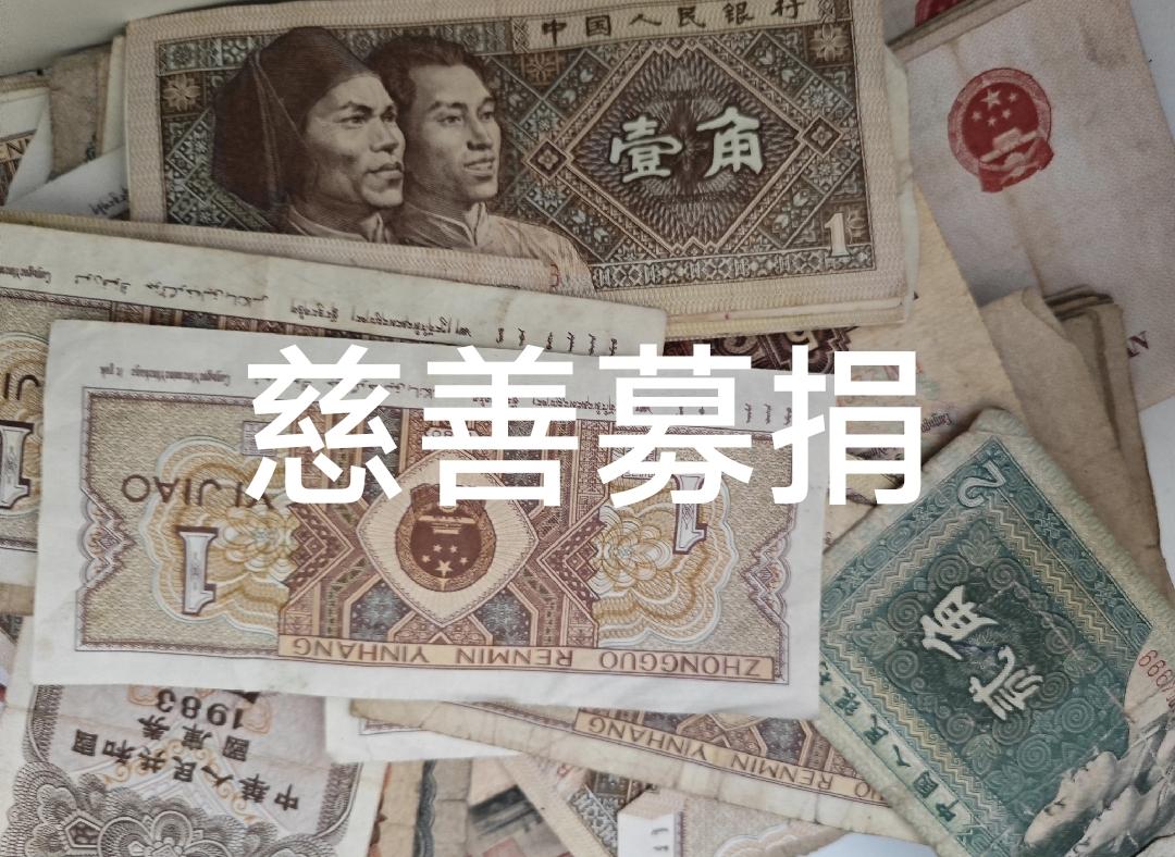 关于公益慈善募捐，我说一句话可能会被很多人骂。我觉得凡是公益慈善机构负责人的年薪