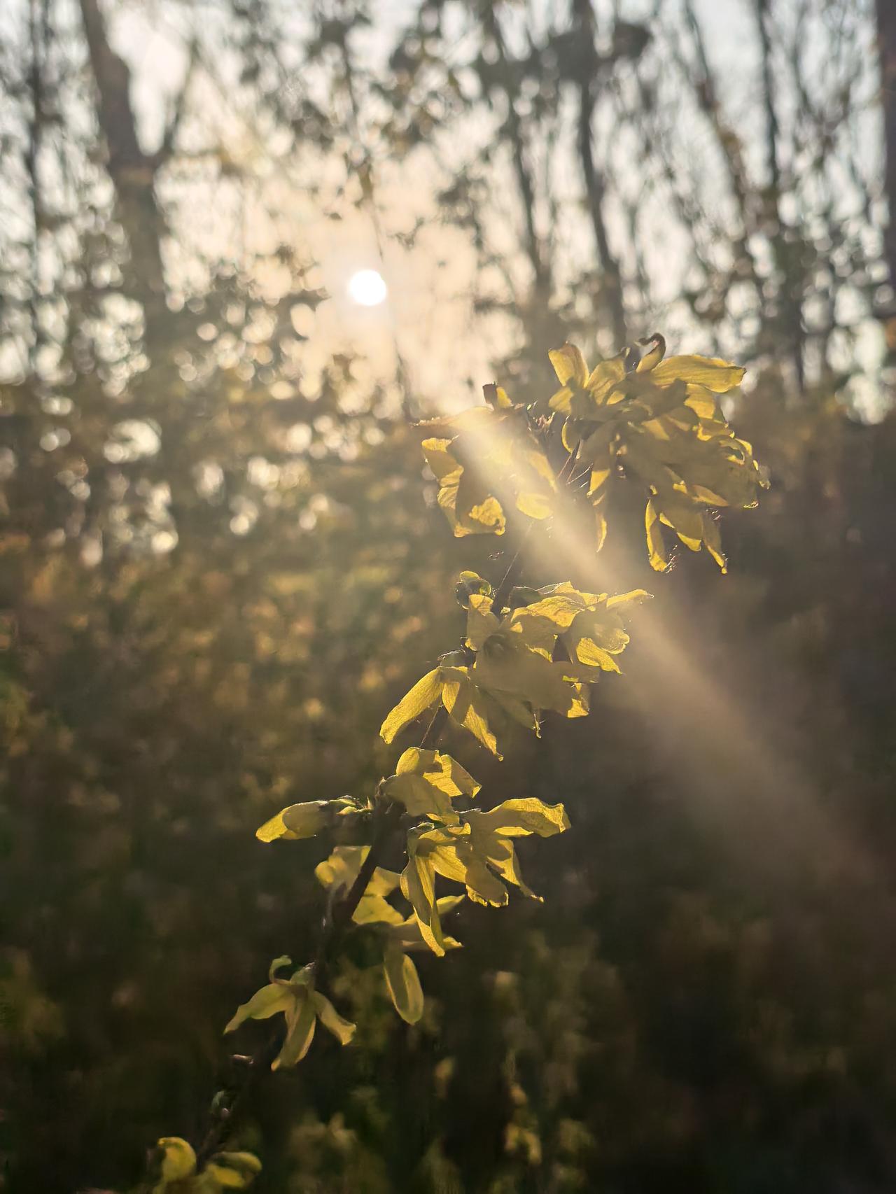 易蚌拾珠注四(连载中)为何从“寅会第七十六运”开始计算“开物”，需