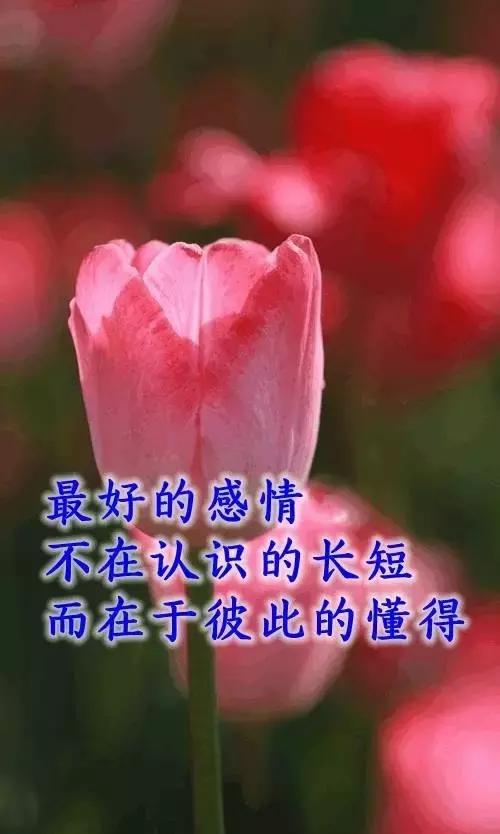 在我三十多岁的时候，喜欢上了六十多岁的女人！她朴实善良，善解人意！四、五年的时间