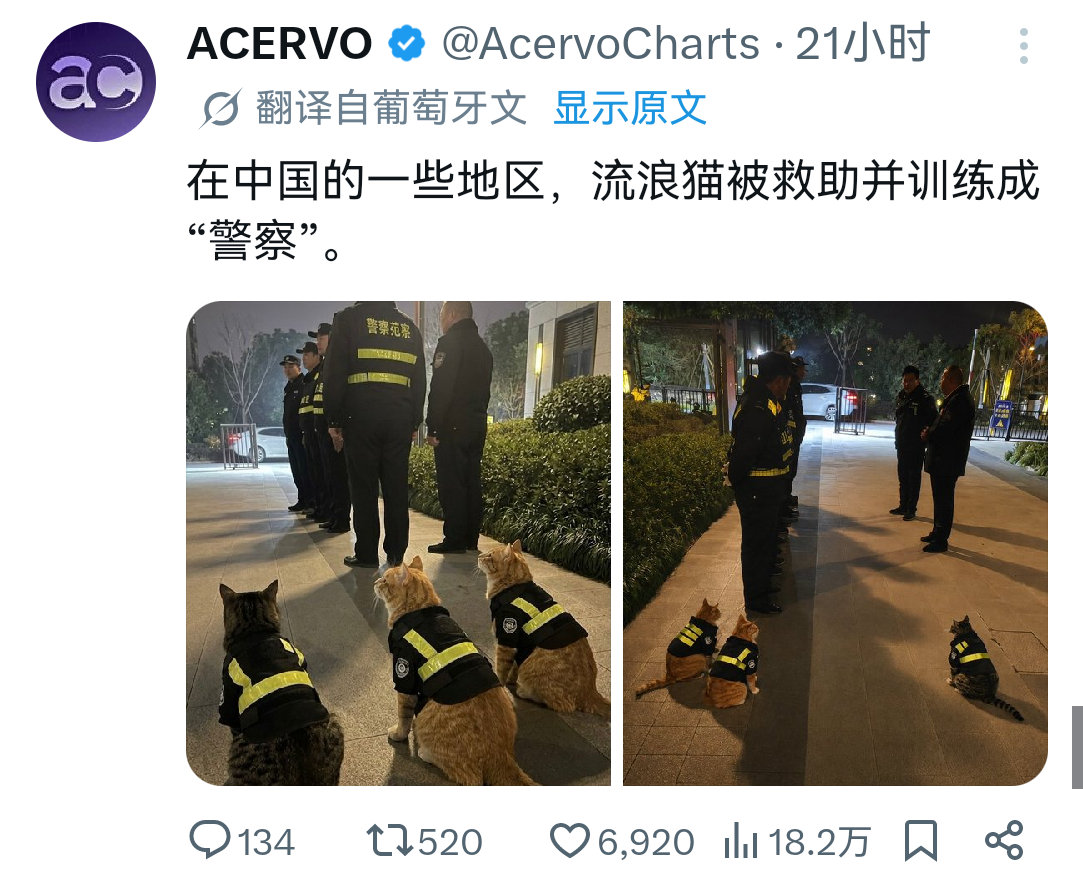 《文化差异》