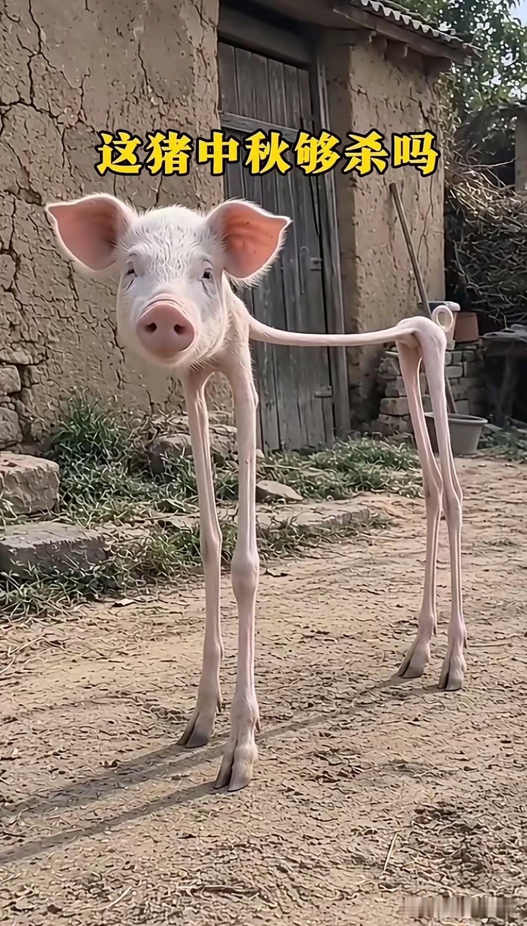 主人是舍不得喂食吧[捂脸哭]