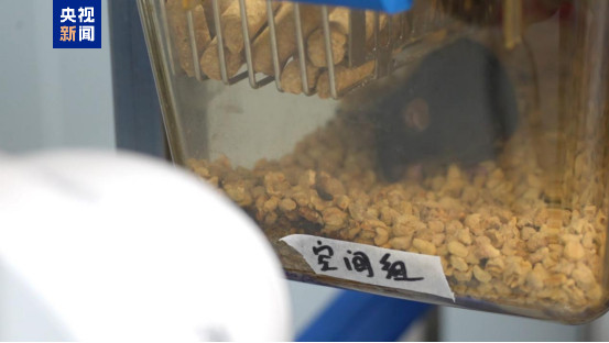 央视新闻报道！【“航天太空小鼠”，当妈妈了！】12月26日从中国科学院空间应用