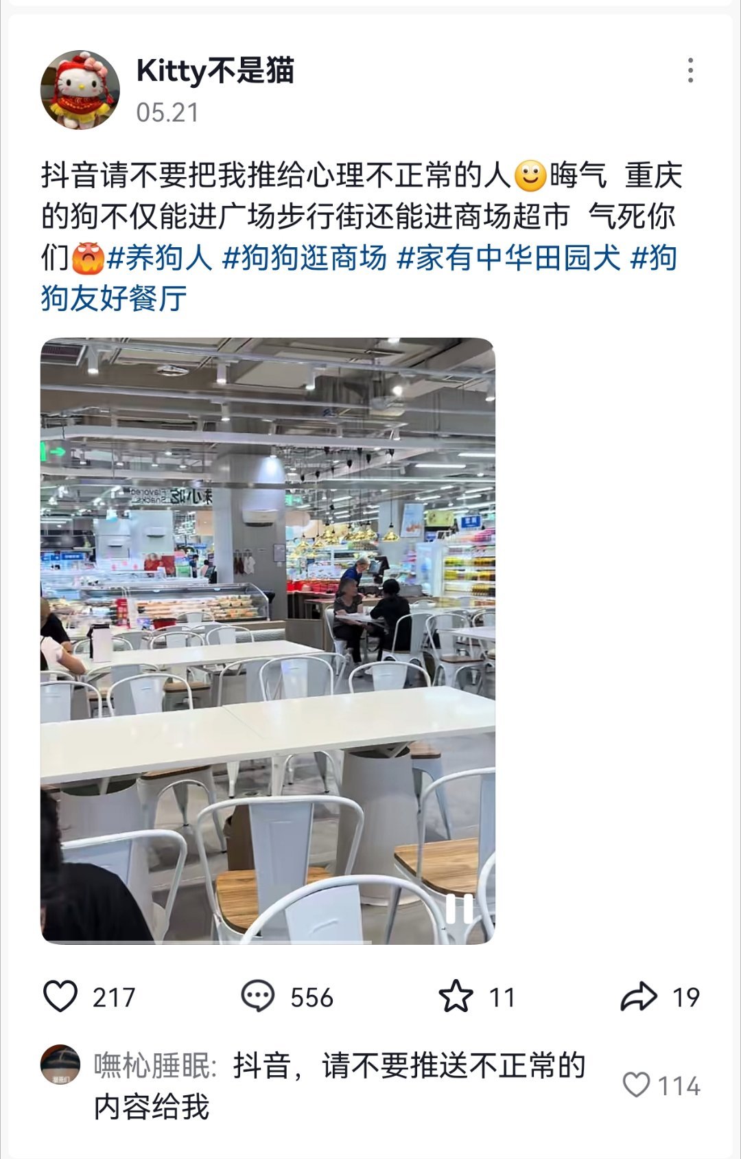 有没有重庆的网友说说，重庆真的对狗这么友好吗？可以随意进超市和餐馆？