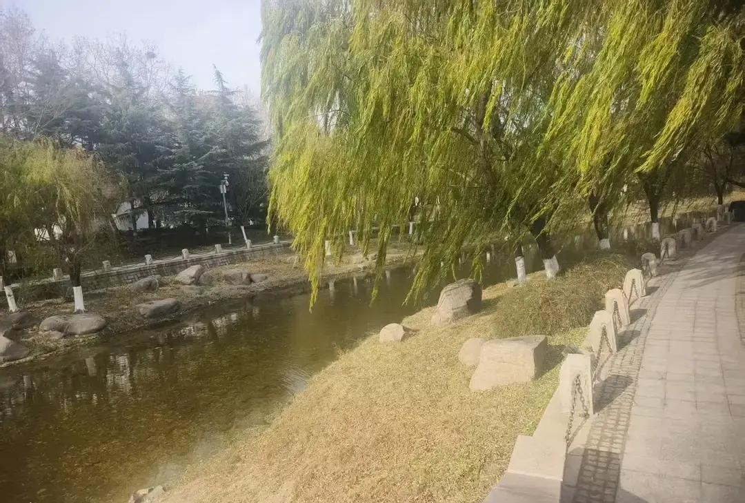 一位婆婆每月从退休金里抠出四千块打给儿媳，说自己腰疼带不动娃，让婷婷拿去请阿姨或