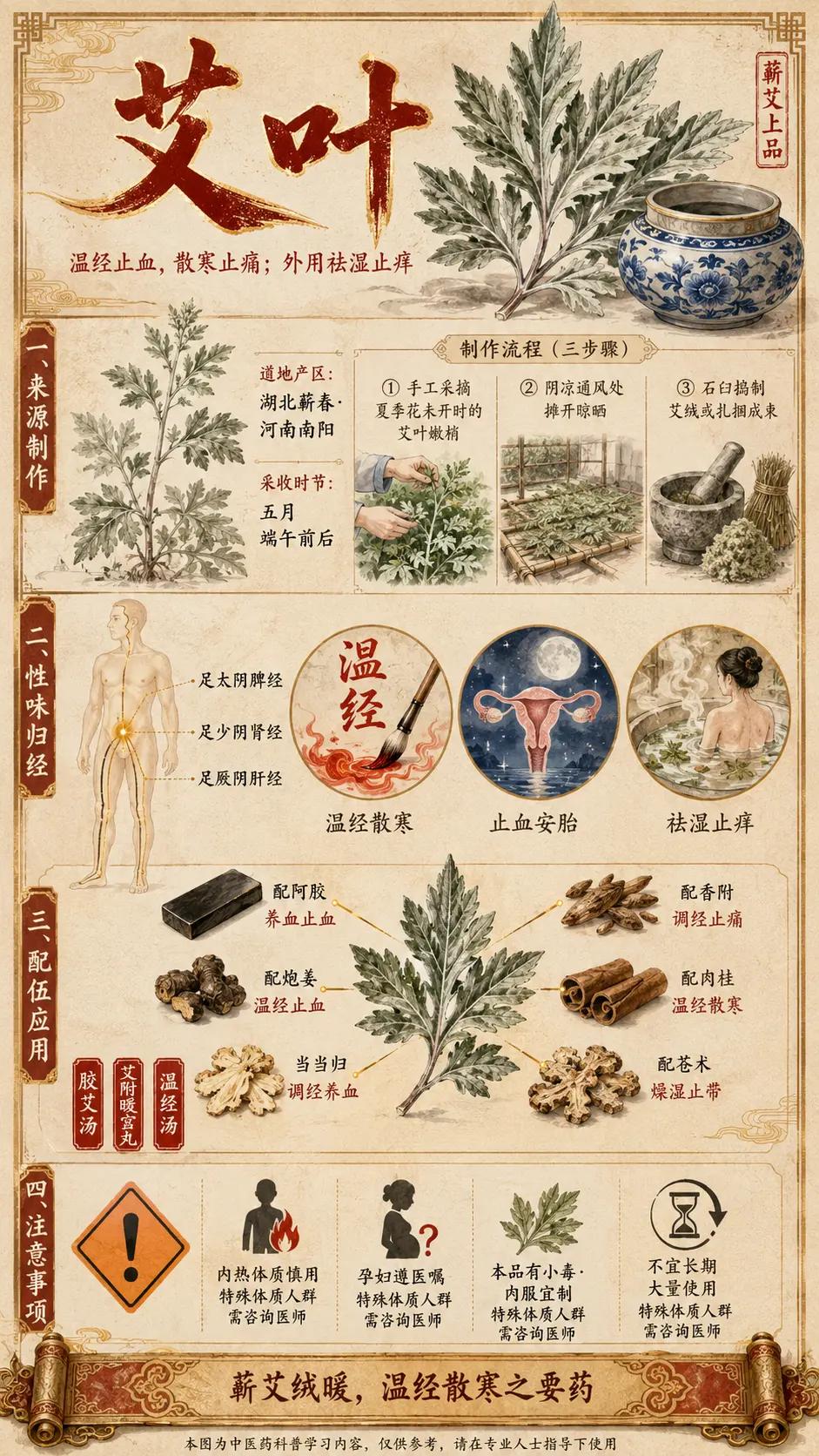 🌿艾叶有毒？99%的人用错了！。今天说一味很多人搞错用法的中药——艾叶！你以
