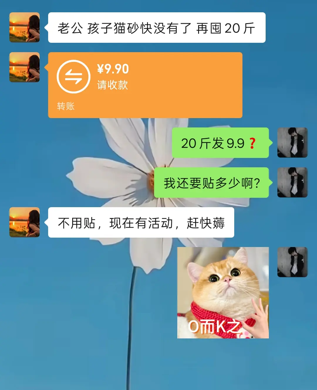 划算到非洲了