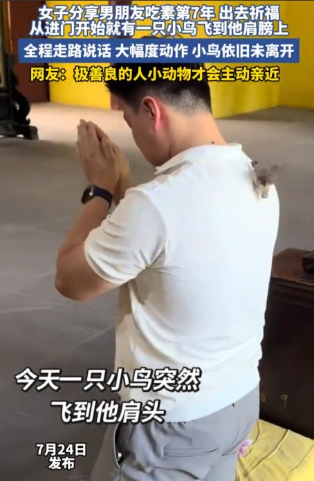 四川成都一对情侣前往寺庙还愿，坚持吃素七年的男子，在还愿过程中突然被一只小鸟主动