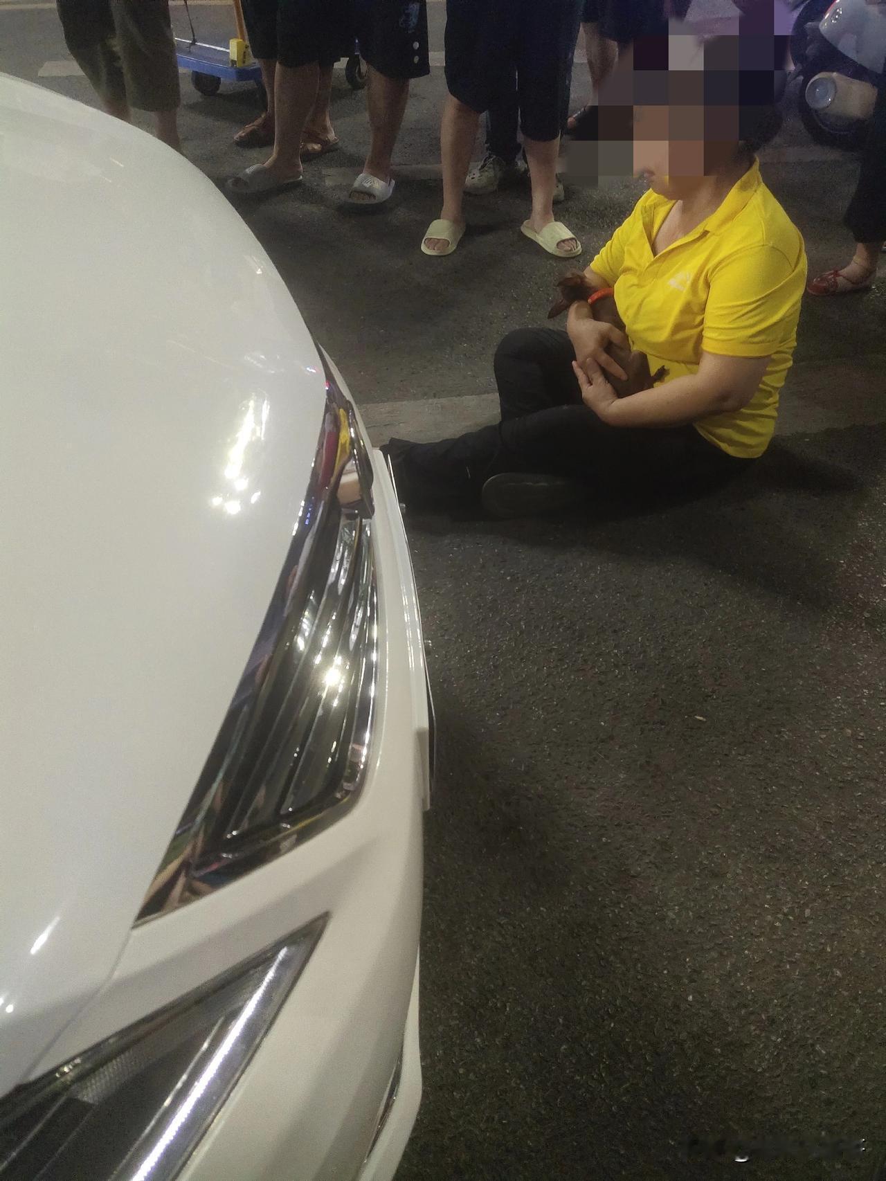 坏风气就是这样来的！女子遛狗，没有拴绳，被一辆过路的小车压死。最后结