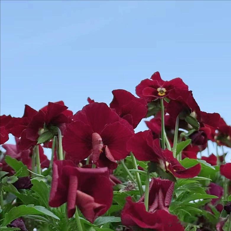 广元市迎来新的主要负责同志 4月27日，70后的工商管理硕士石钢履新该市。