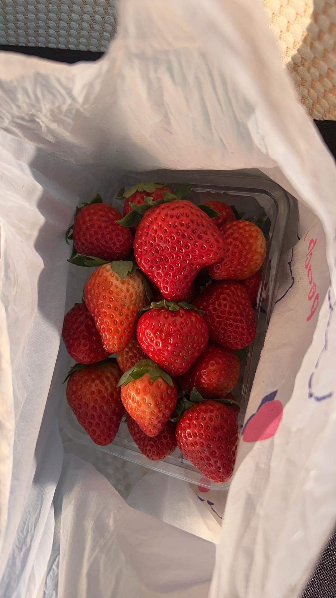 草莓季来了！路过水果店实在没忍住，那一盒盒红艳艳的太勾人了。老板说：“本地草