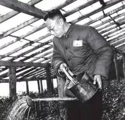 1962年，56岁溥仪迎娶38岁女护士李淑贤。新婚之夜溥仪开着100瓦的灯泡，一
