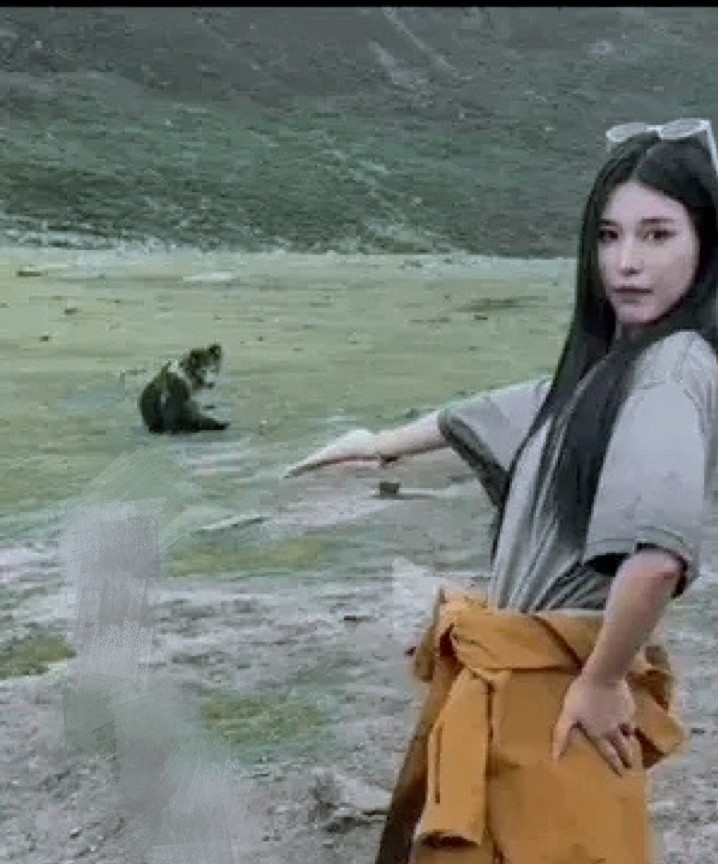 一名女子到西藏游玩遇见藏马熊。在西藏荒野遇到藏马熊该咋办？这姐们