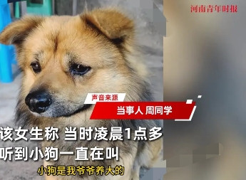 “泪崩了！”四川自贡，一女孩凌晨睡觉时，突然被一阵狗叫吵醒，女孩强忍着害怕开门，