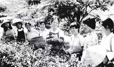 越南把26万华人当垃圾扔掉，中国接手后，反手养成摇钱树。上世纪50-70年代，东