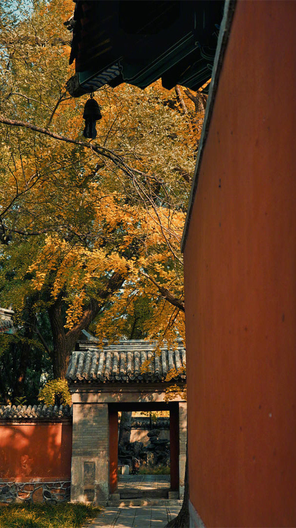 当你不开心的时候，想想自己还剩下多少天可以折腾，想明白了，你就再也不会生气了。