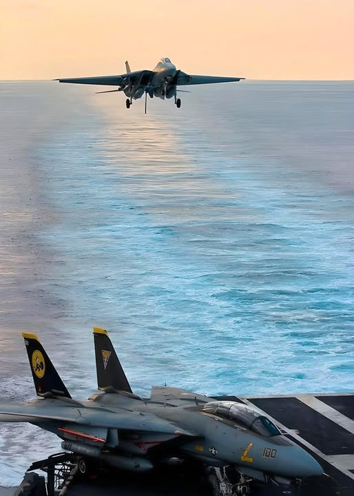 猫宁。F-14大猫着舰瞬间​​​