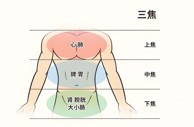 “一药通三焦, 气顺百病消”, 一个名方打通三焦, 助你浑身舒畅!