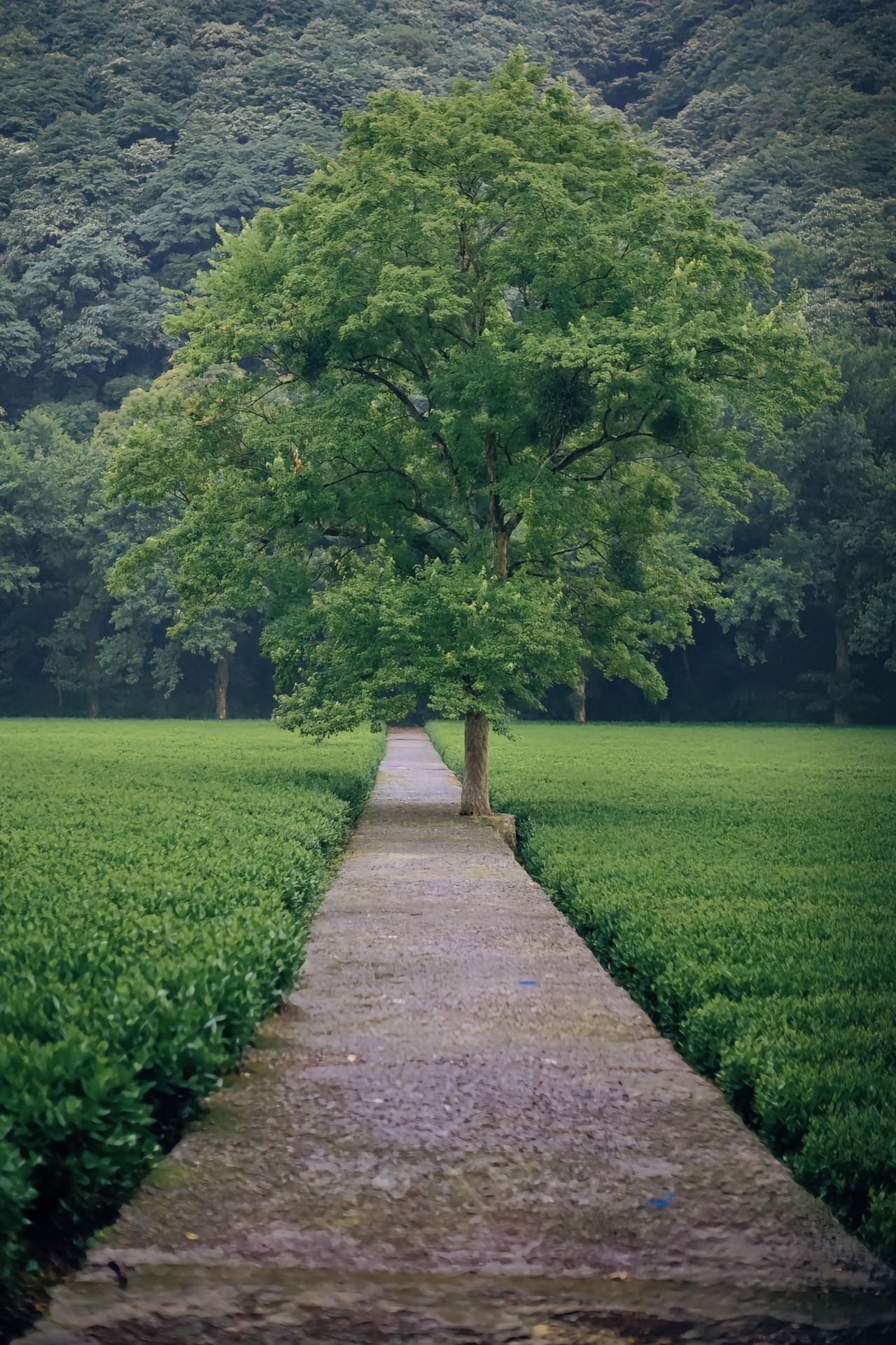 今天碰到一位南京的初三学生家长，跟我讲孩子想在五一期间自己去探索一番，然后做个总