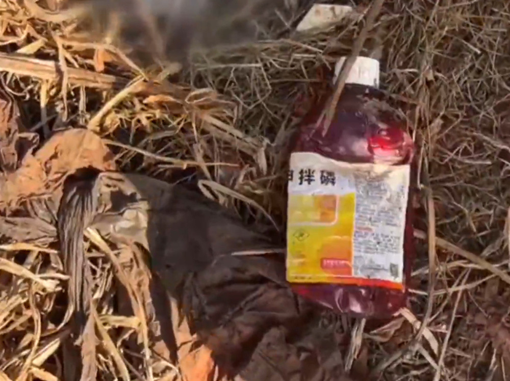 云南建水县回应薯农使用禁用高毒农药种植红薯: 已成立联合调查组