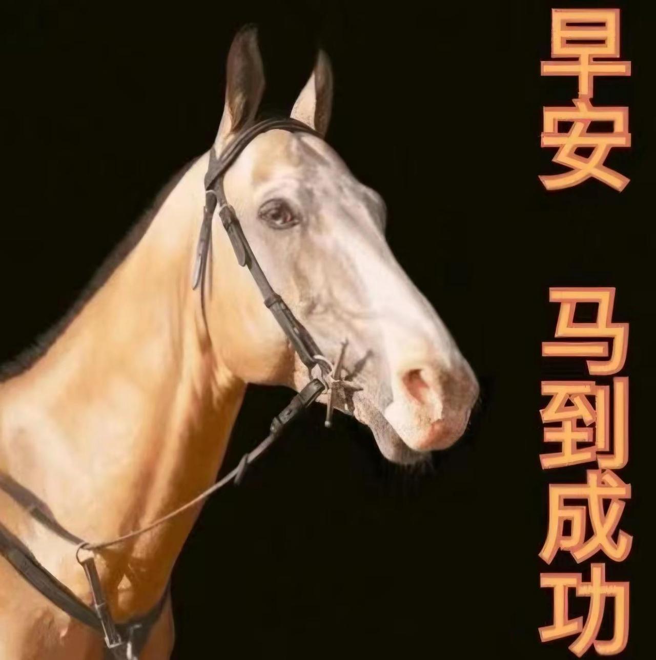 大年初六，六六大顺！愿您心意顺、前程顺，一顺百顺；现在顺、将来顺，一帆风顺。