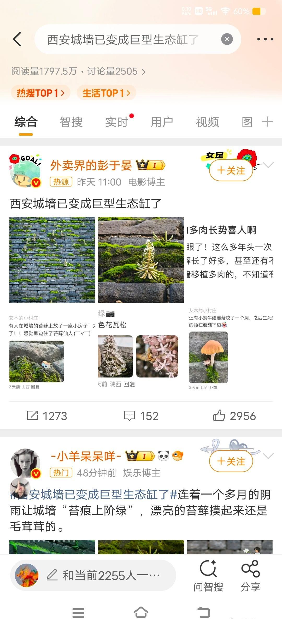 西安城墙已变成巨型生态缸了
