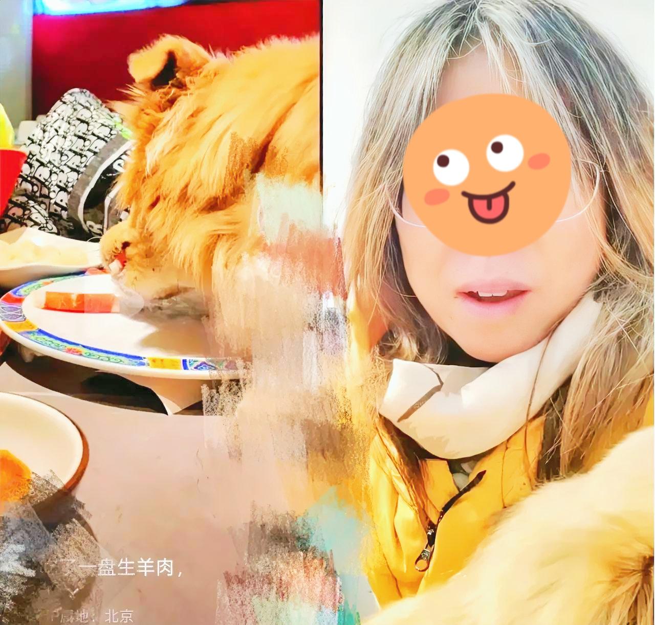 这下出名了纵容狗上桌舔盘子，还发视频炫耀，夸自己家的狗，“太棒了”爱狗