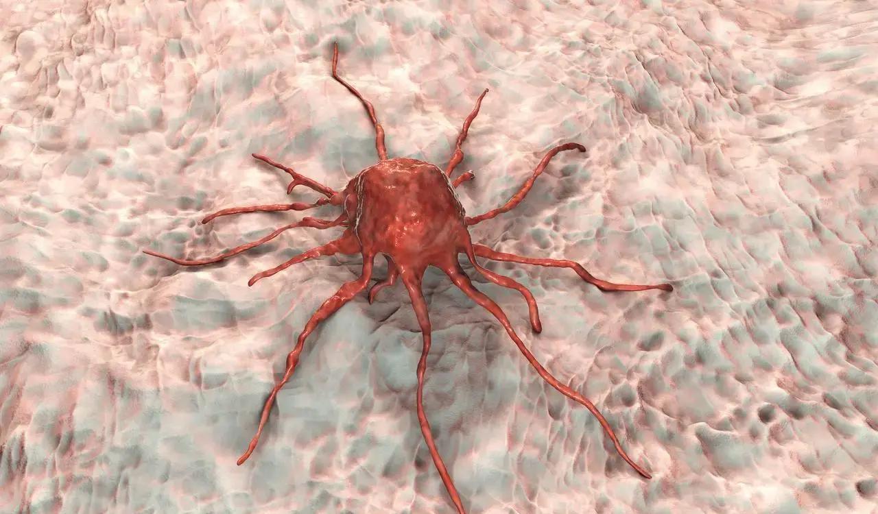 2024年最新报告震动人心：中国超60%癌症患者确诊已中晚期，只因这些“小毛病”