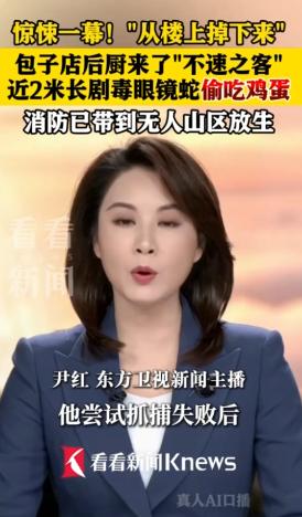 广东深圳，龙岗一家包子铺后厨，鸡蛋筐里传来窸窸窣窣的声音。店主邱先生过去一看，一