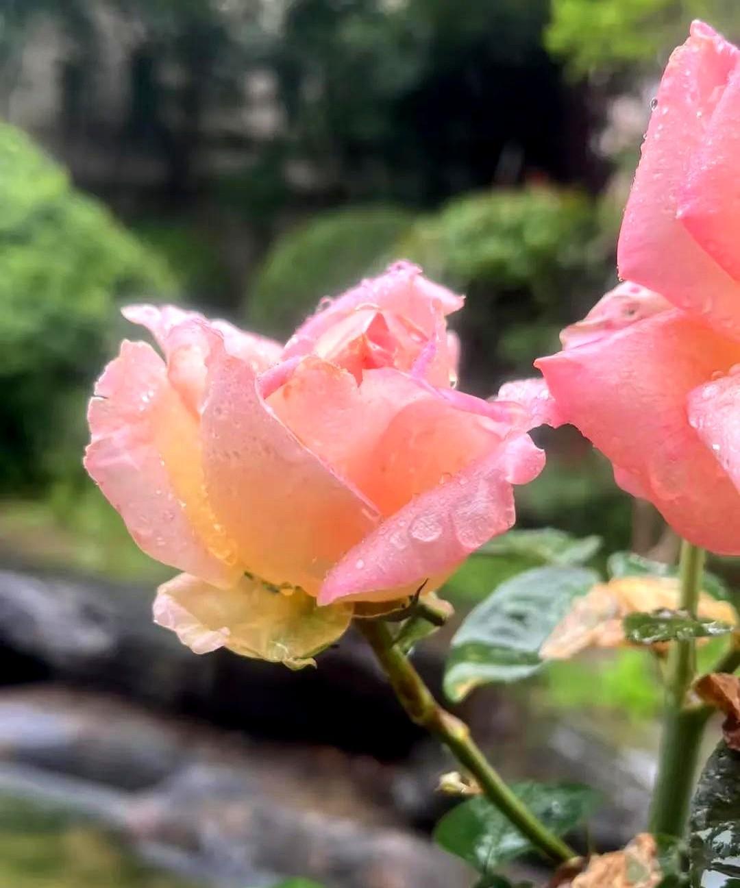 最唾弃那种女方父母对男方说：“你们家拿过来的几十万元钱，我们都不要，结婚时全部