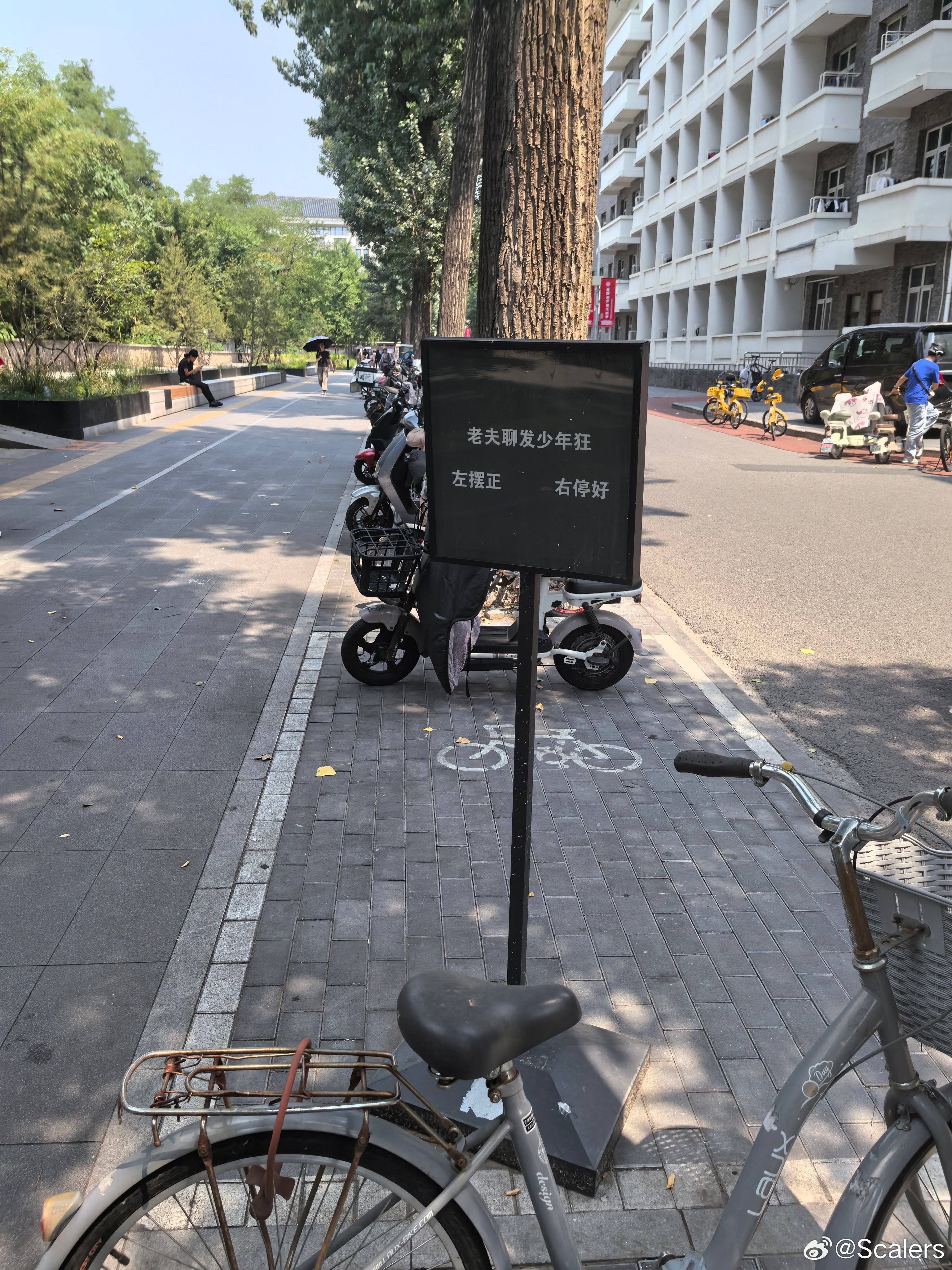 北大的风格，的确是有点癫。