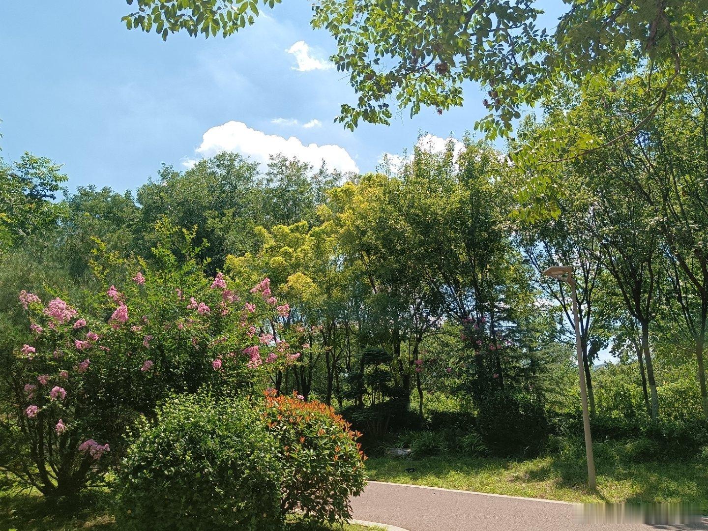 手机摄影四季如歌一路向前就会与美好不期而遇