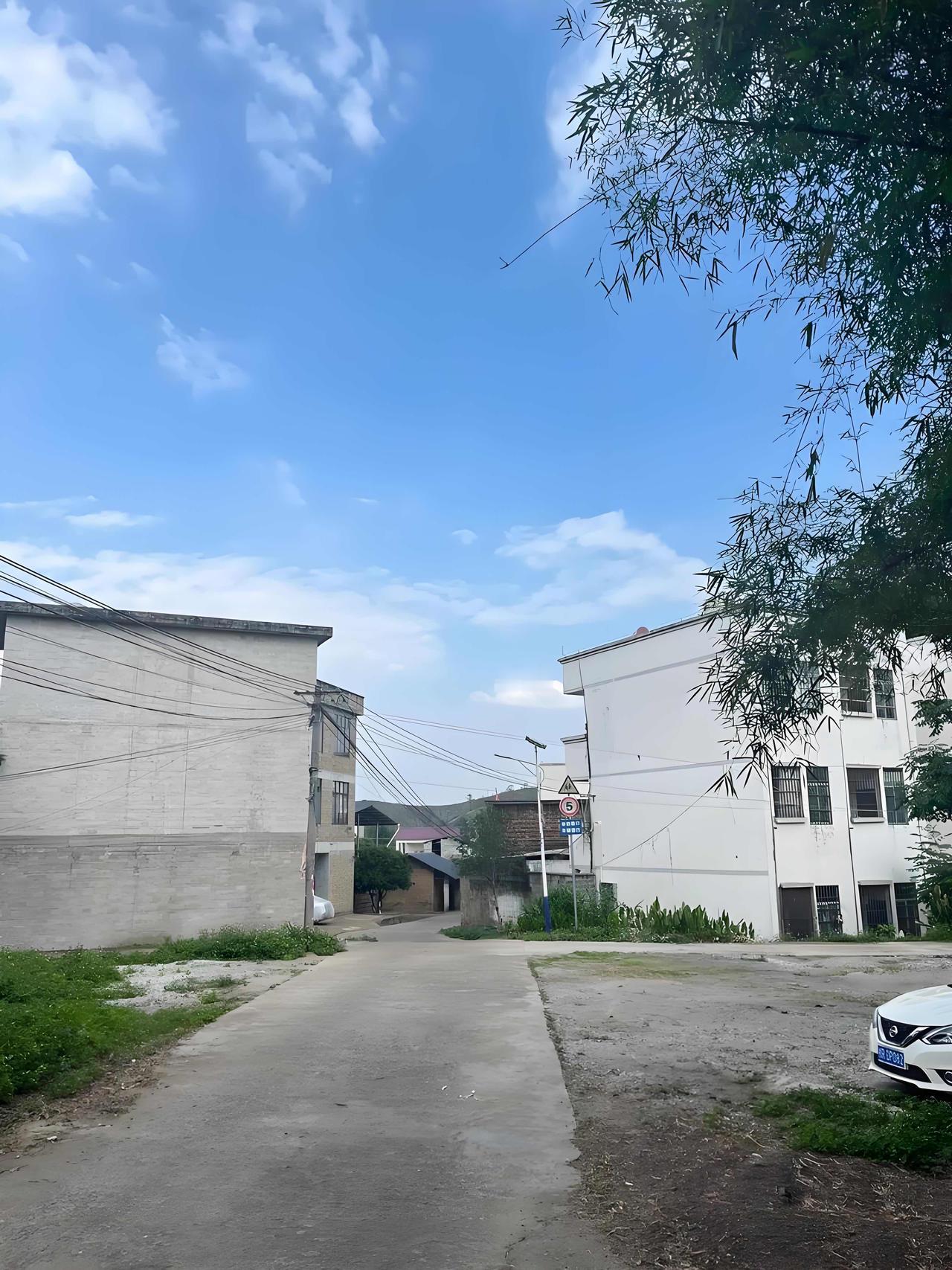 选伴侣，一定要看看他的妈妈。结婚过日子，从来不只是两个人的事，更是两个家庭的融