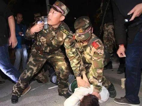 1997年8月15日，37名公安、武警秘密潜入了龙合村，准备逮捕“神枪手”悍匪万