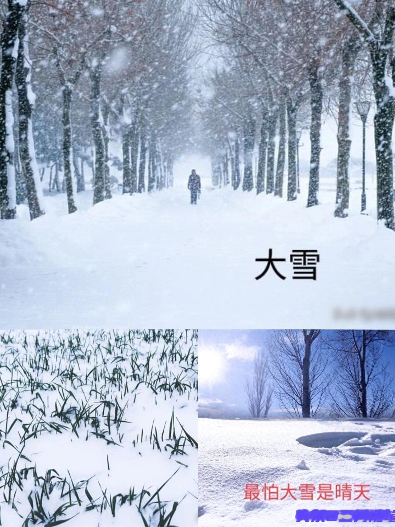 这不是迷信！老人说最怕“大雪是晴天”，今日大雪，晴天有啥预兆！老农谚里藏
