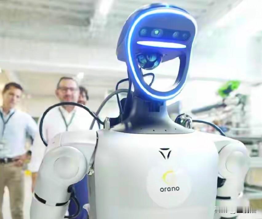 大规模人形机器人创业公司倒闭潮开始了，和当年的团购网站、网络金融是一模一样的。