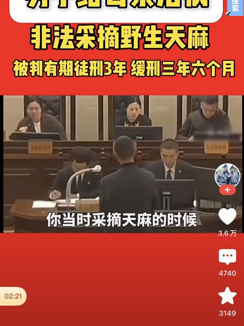 网友爆料称：一男子为了给母亲治病，去山上采摘了少许野生天麻熬成中药给母亲进行治疗