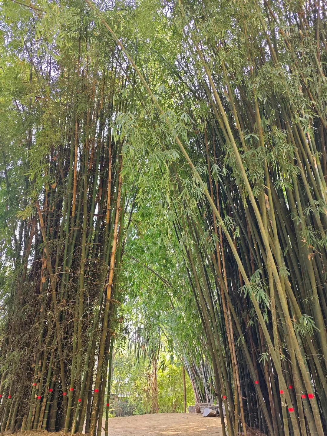 在与人相处时，绝不能占有心机之人的便宜，倒是可以给他们些好处。有心机的人，都擅长