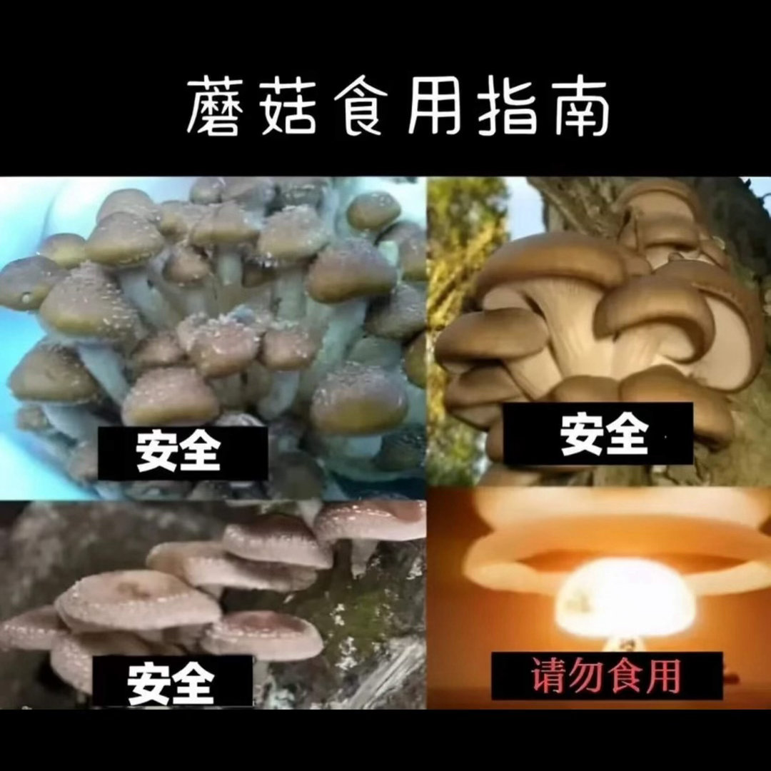 网友投稿图片选集​​​
