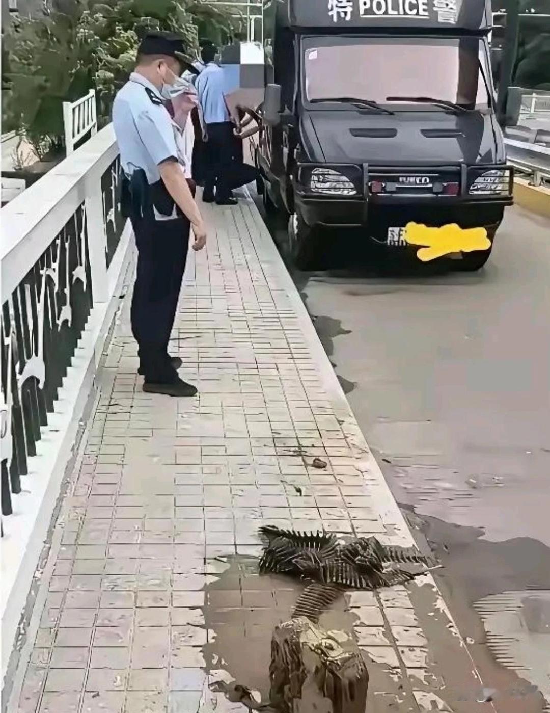 钓鱼佬除了鱼钓不上来，什么都能钓上来