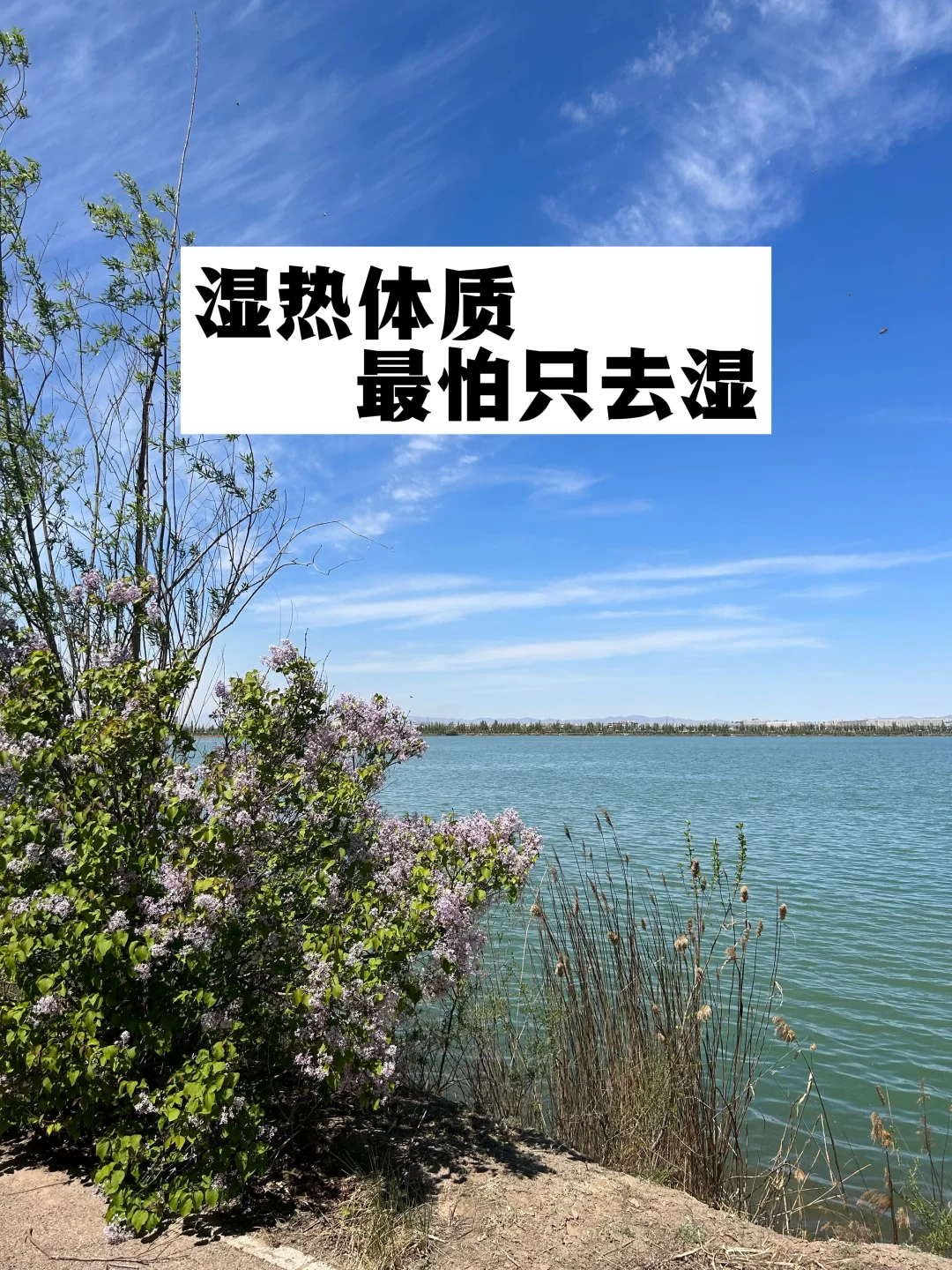 湿热体质，最怕只祛湿.