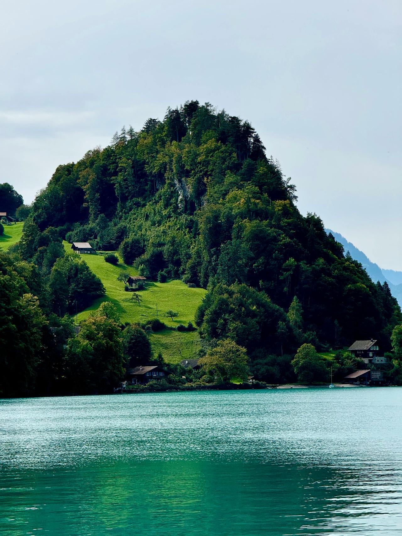 去新西兰工作，最低只需要准备8万人民币？很多人觉得出国要花几十万上百万，其实新