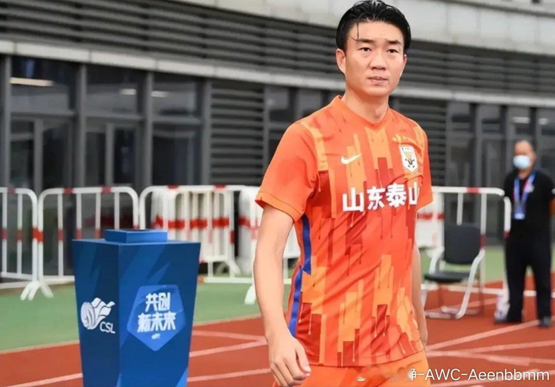 戴琳职业生涯收入保守估计超3000万公开资料显示，戴琳是中国职业足球运动员，曾效