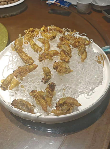 想知道这道美食的故乡在哪？名字是什么，太馋人了