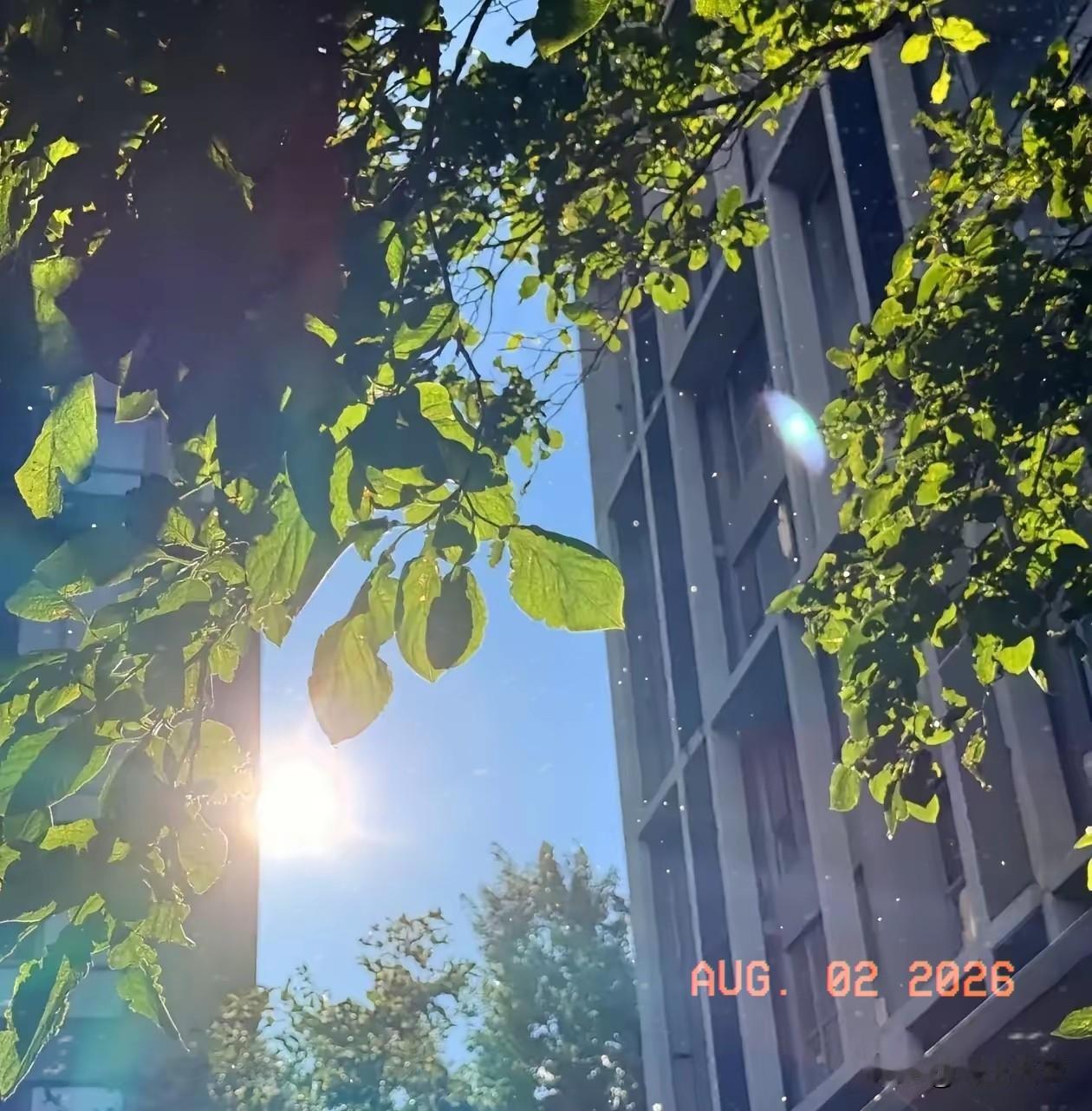 通知，通知大家大家要做好准备。还有12天，也就是8月14日就正式入末伏了，