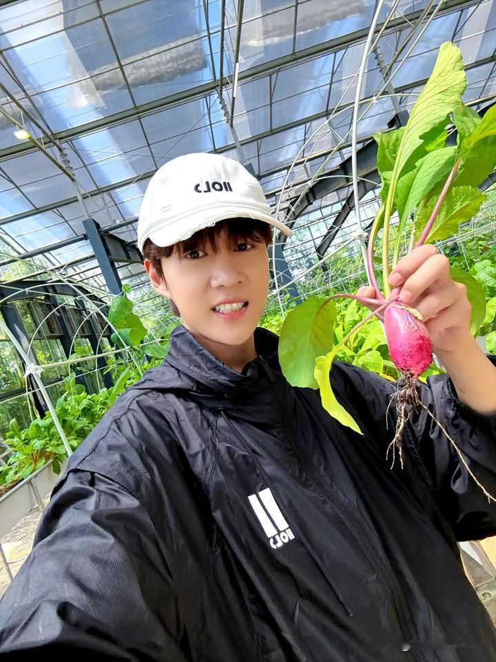 5月10日，蒋敦豪官宣加盟T次方音乐与艺术节，敦敦工作室更新了蒋敦豪元气森林音乐
