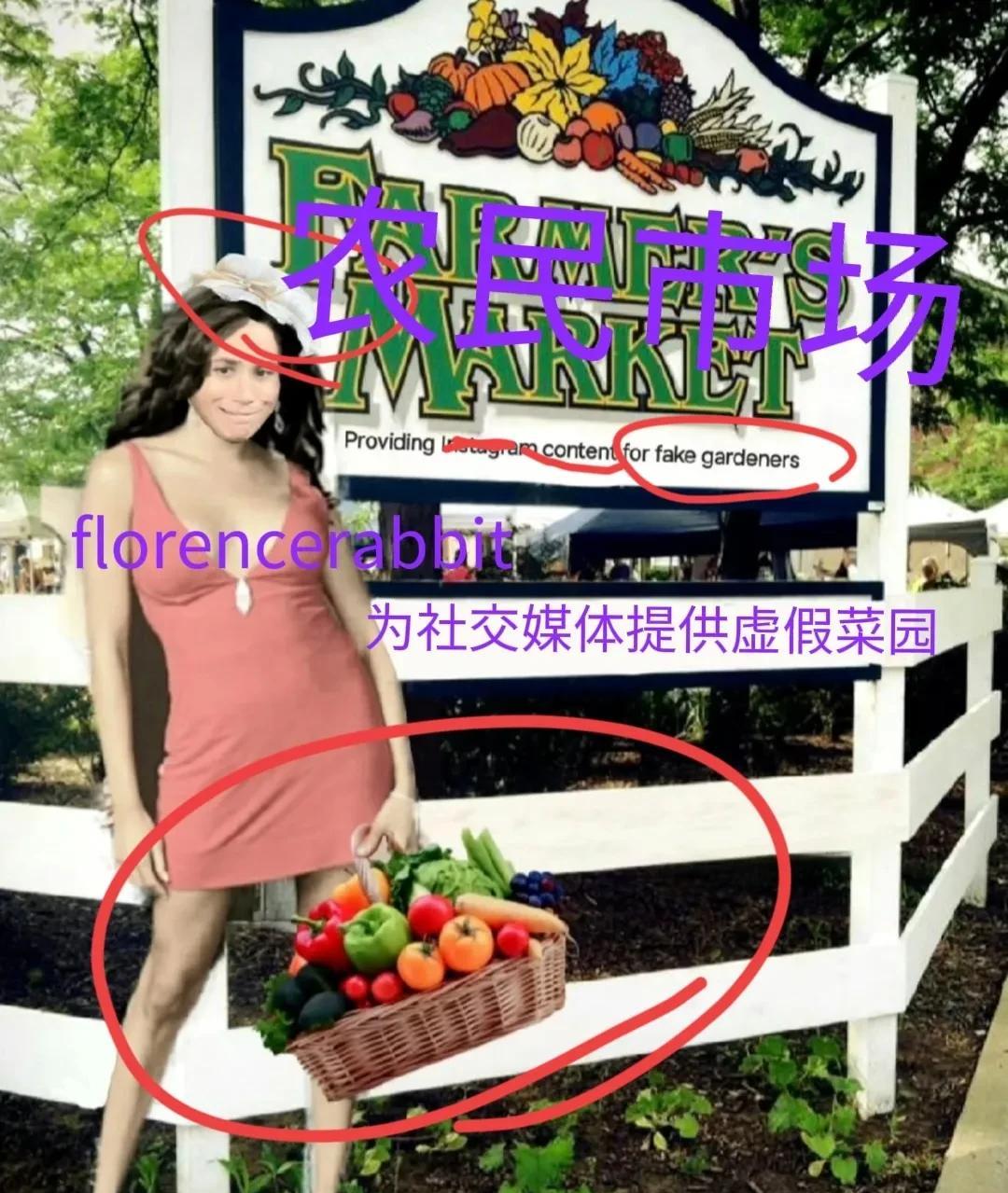 马克尔的菜园“大丰收”完美地令人生疑。宠物狗把脸埋在了“收获”中，其中包括西兰花