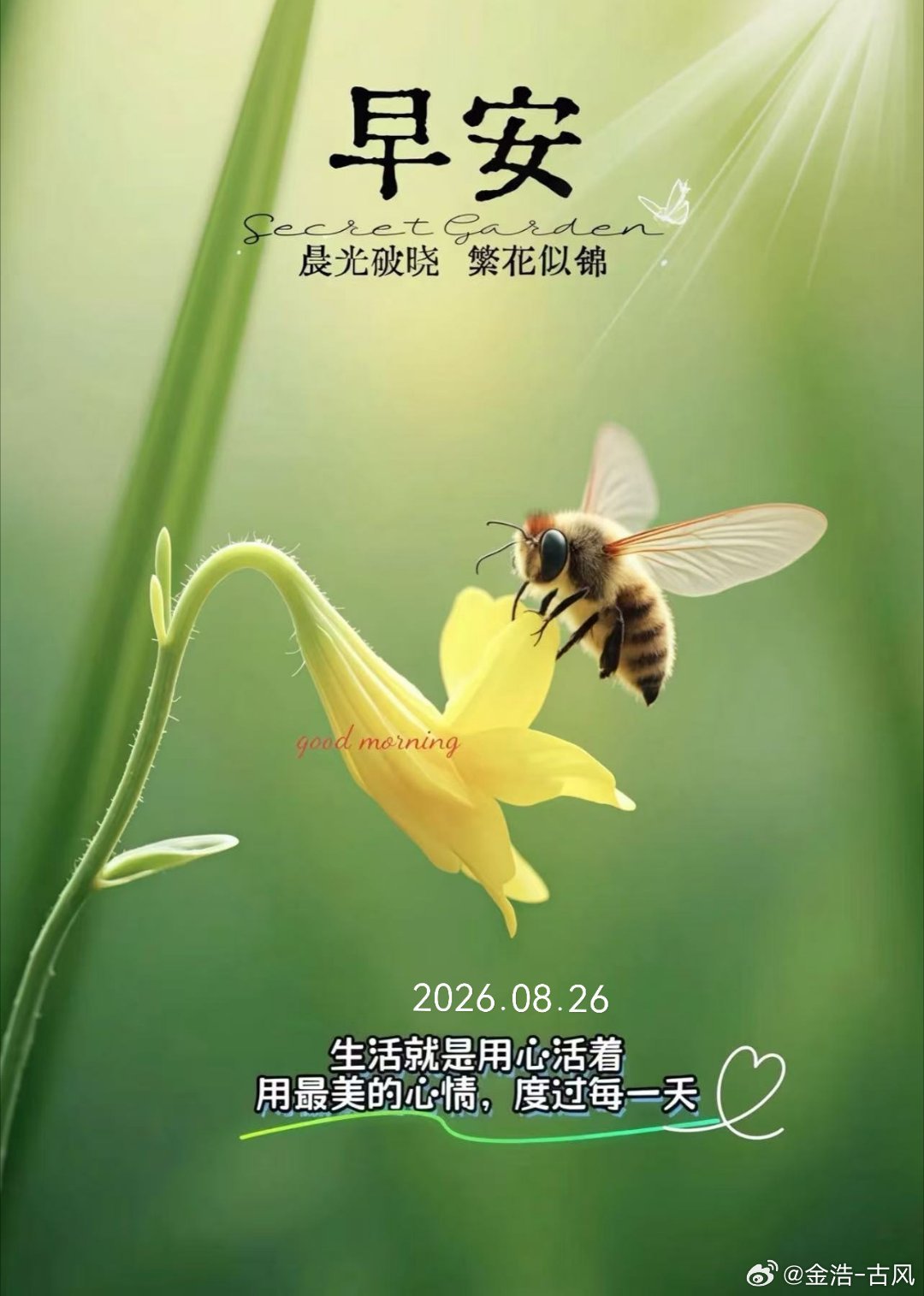 周三早安，日子慢煮，平安喜乐就好​​​