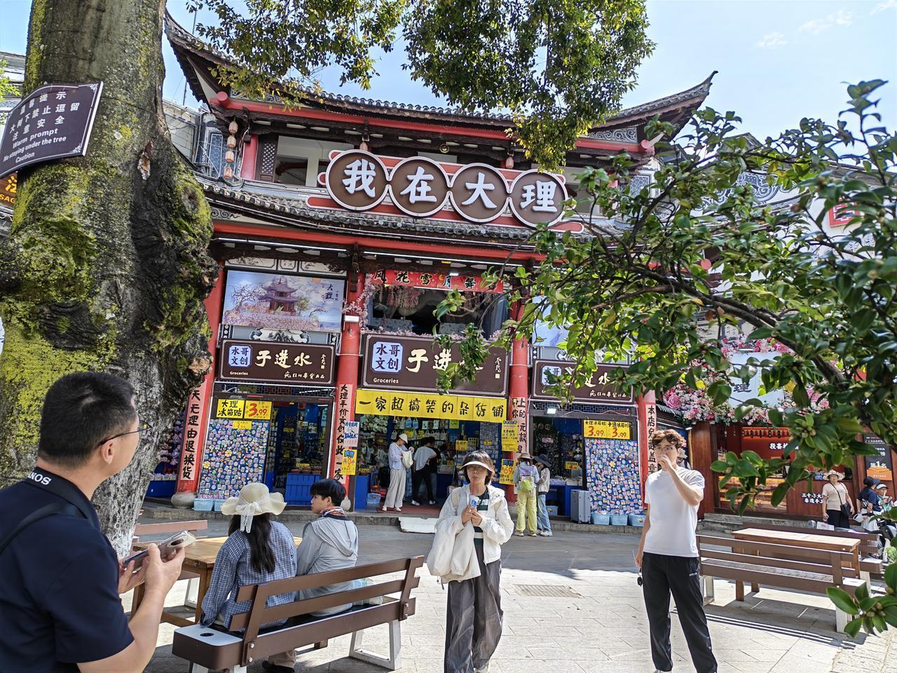 再见大理，洱海碧澄，白云☁️慵懒，岸芷汀兰，沙鸥静栖。古城繁华，行人如织。