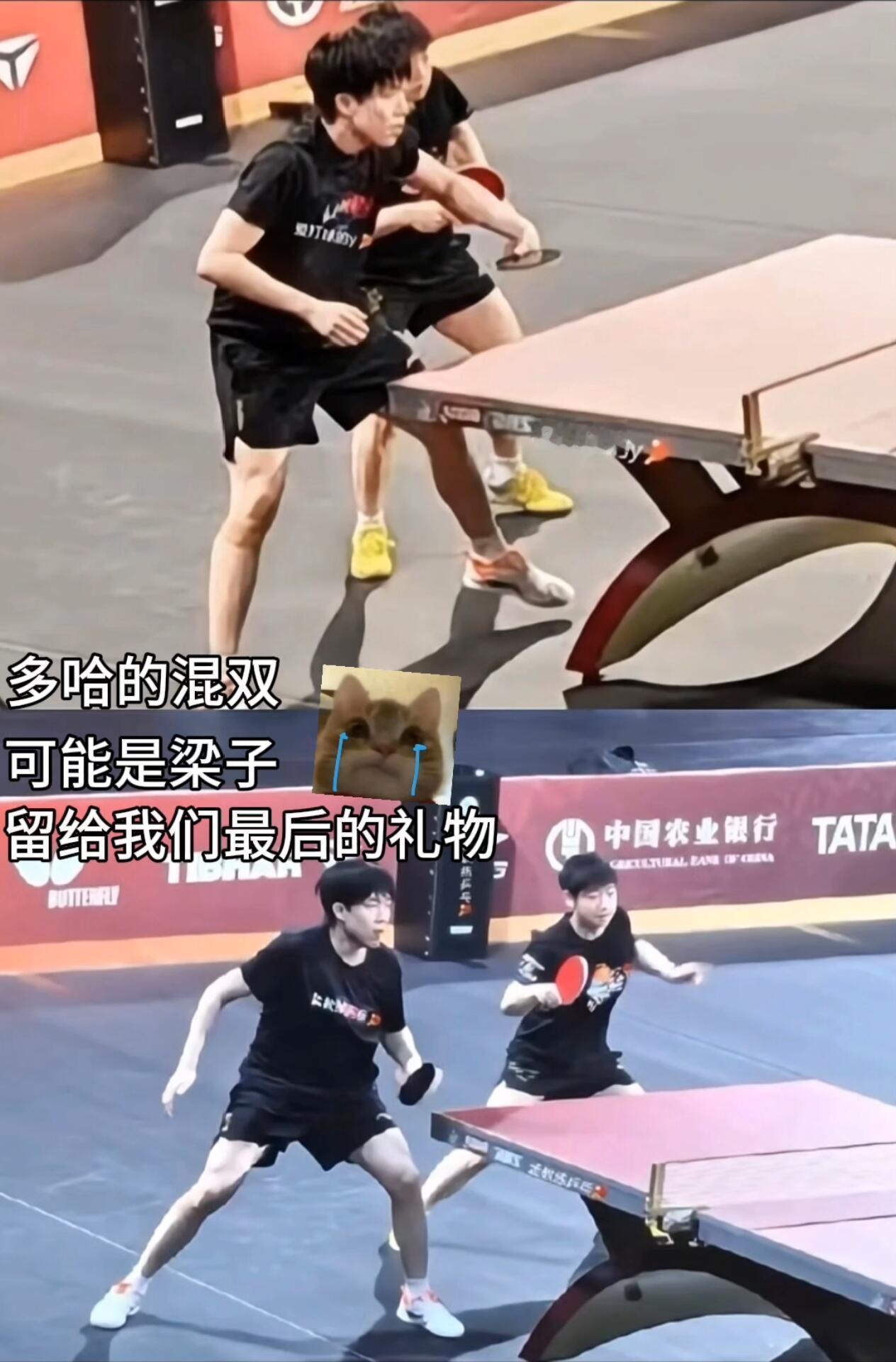这才是顶尖，两小只的实力风靡全球，再次在多哈搭档混双，这是千呼万唤都难以实现的，