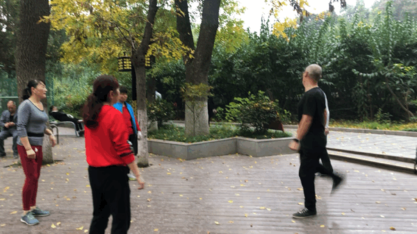 太扎心了！现在的公园早已不是清静的“避风港”，更像是中老年的“凡尔赛秀场”。你